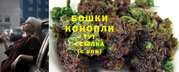 твердый Бронницы