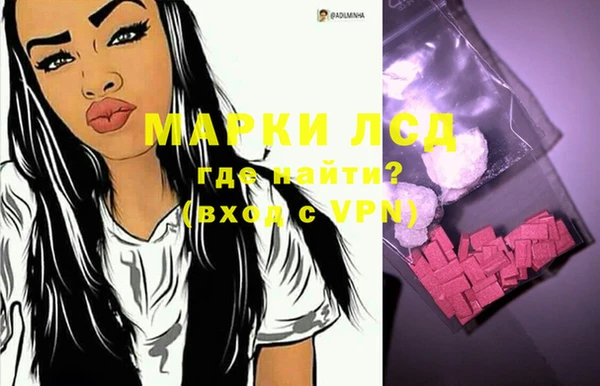 дживик Снежногорск