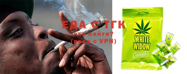дживик Снежногорск