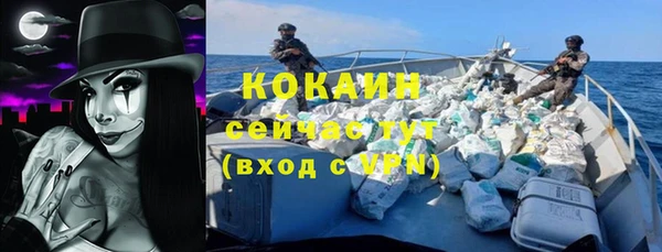 твердый Бронницы