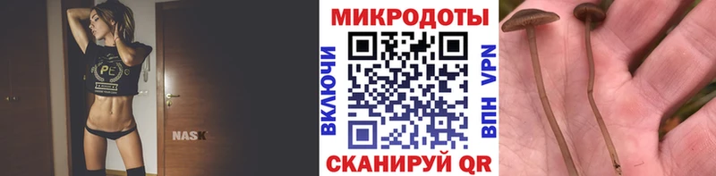Псилоцибиновые грибы GOLDEN TEACHER  площадка как зайти  Семёнов 